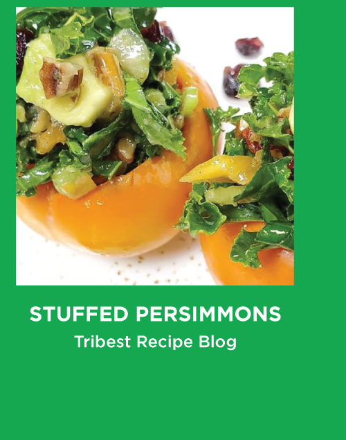 Stuffed Persimmons - Tribest Recipe Blog