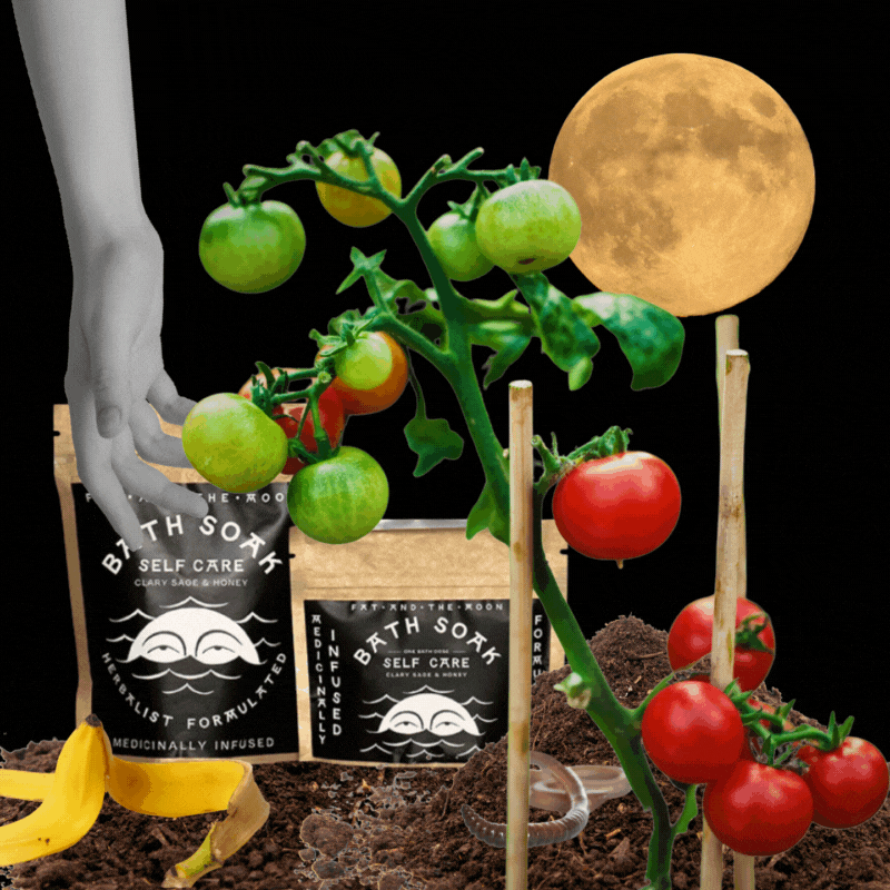 Compostable Packaging with Light Carbon Footprint Fat And The Moon