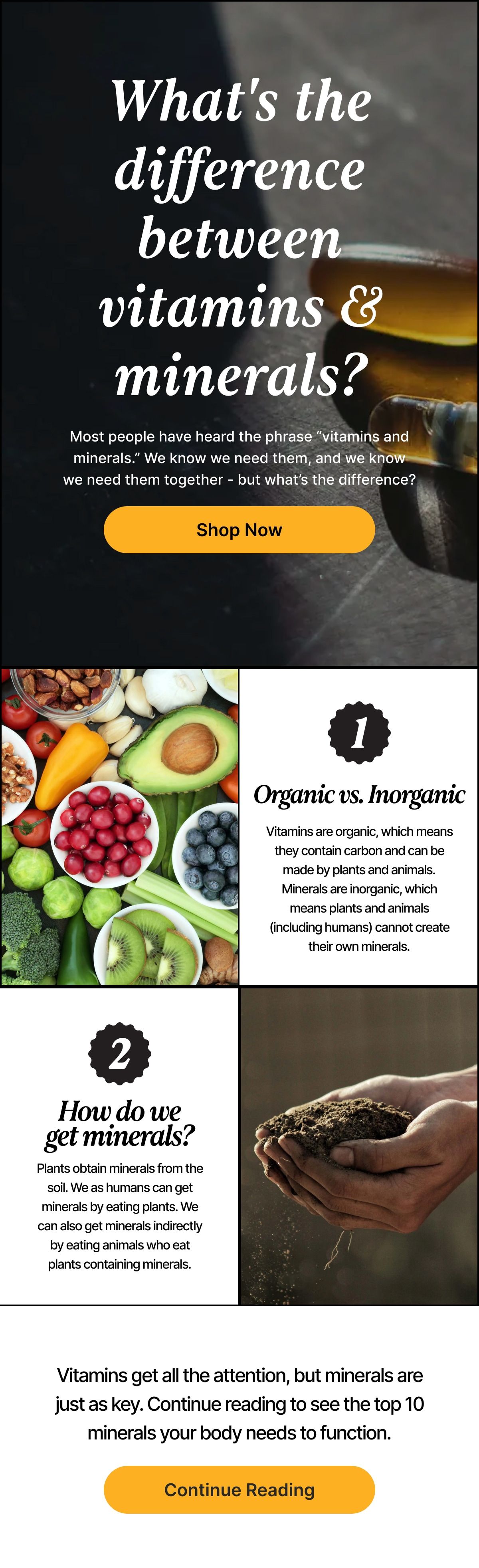 What's the difference between vitamins and minerals? UMZU